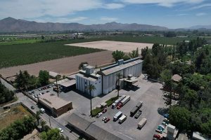 Cómo Molino Linderos logró diversificar su negocio en medio de la transformación del mercado panadero